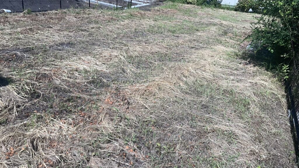 曙町分譲地　C区画